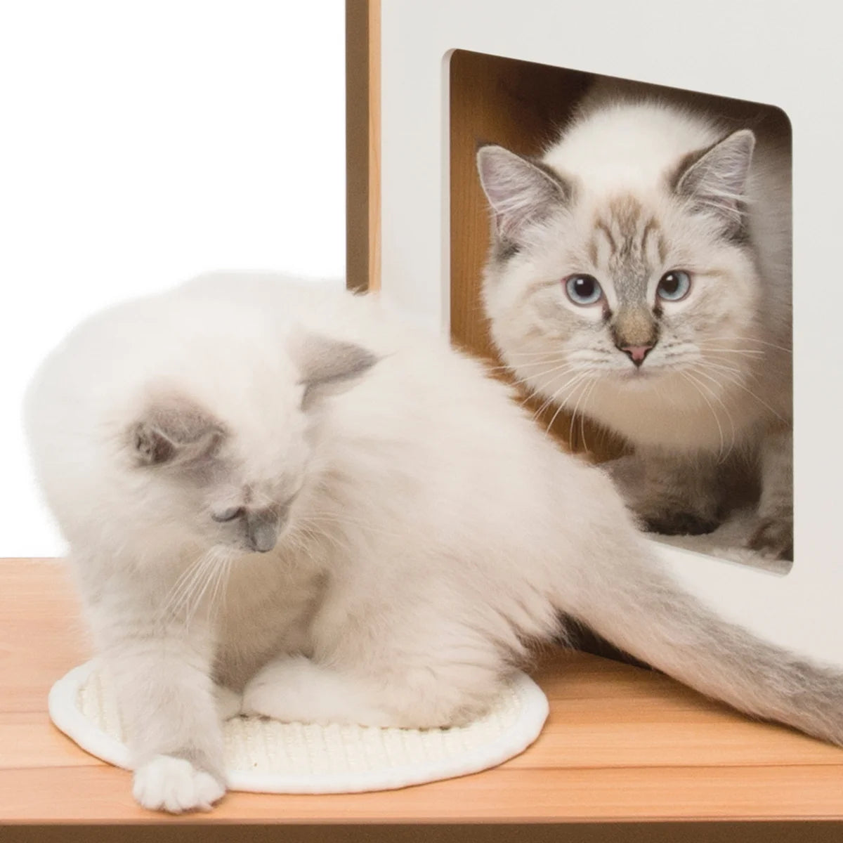 Arbre à chat double Catit Vesper avec chaise longue