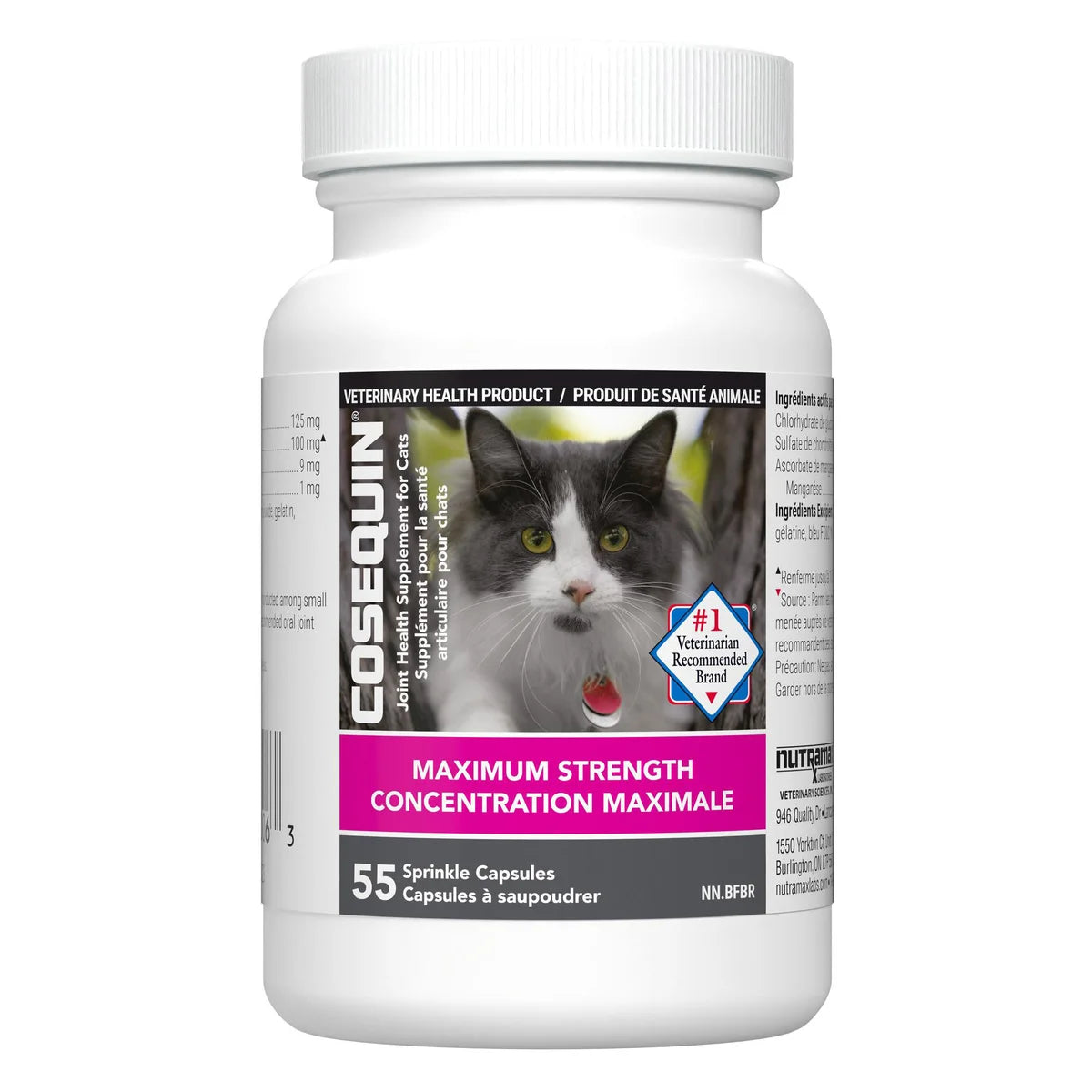 Complément alimentaire pour la santé articulaire des chats Cosequin