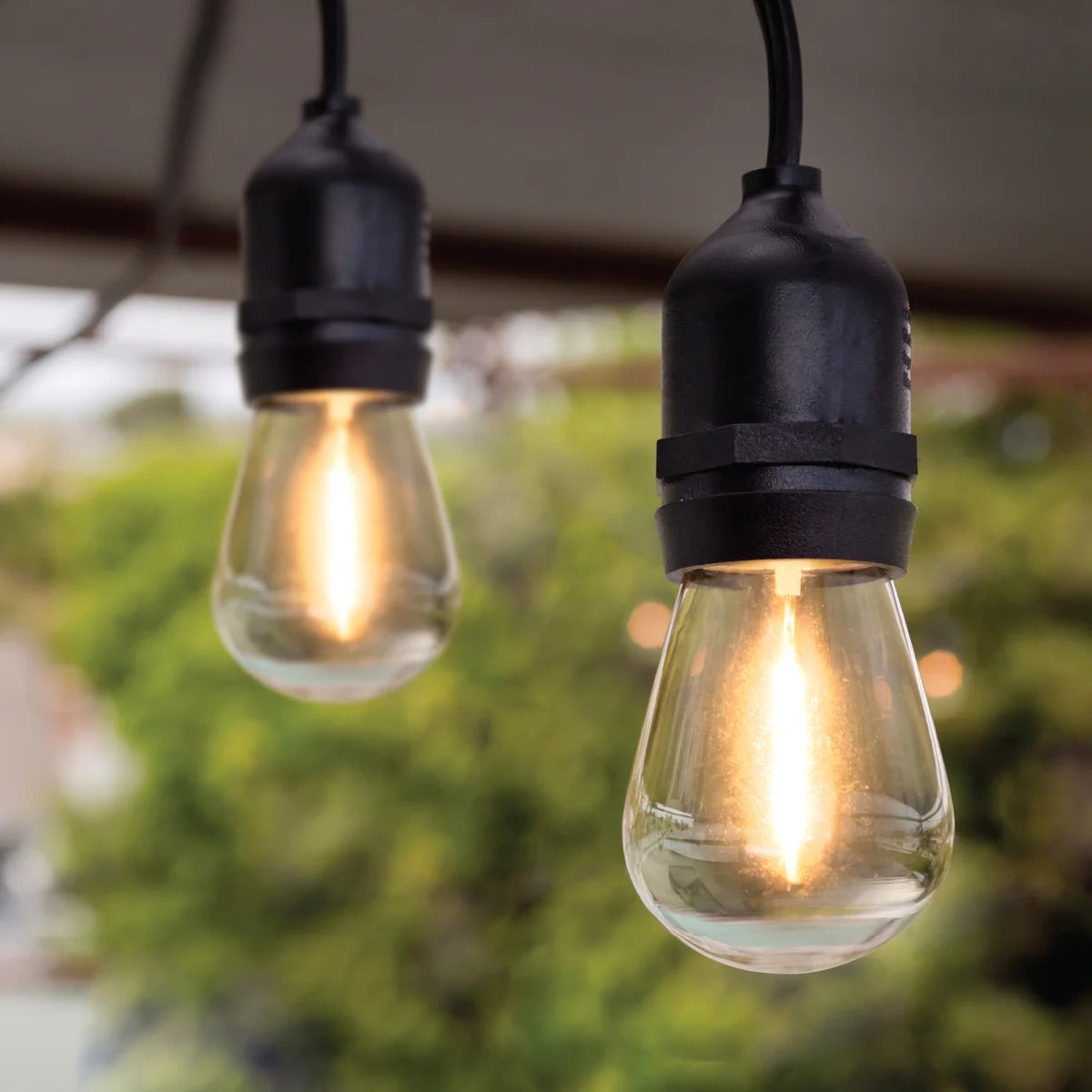 Lot de 24 ampoules LED de rechange Feit Electric
