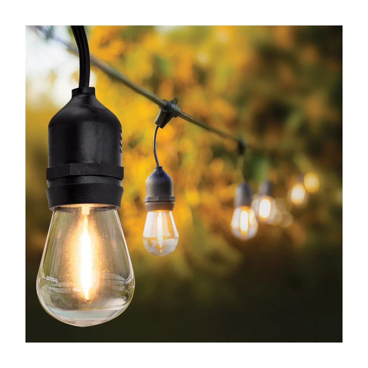 Lot de 24 ampoules LED de rechange Feit Electric