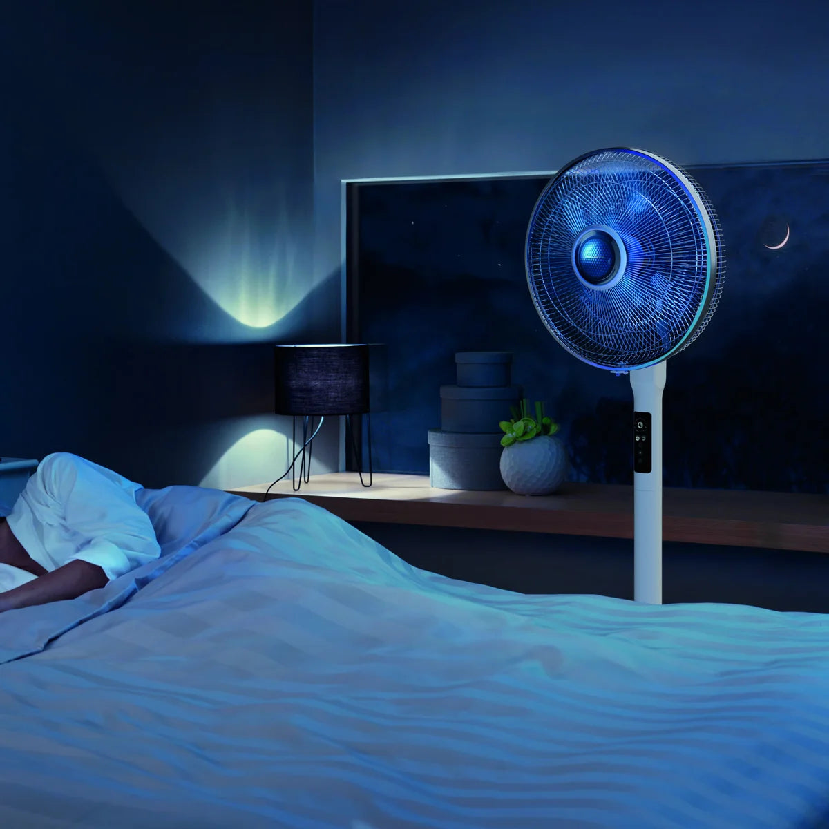 Rowenta Turbo Silence Extreme and Stand Fan