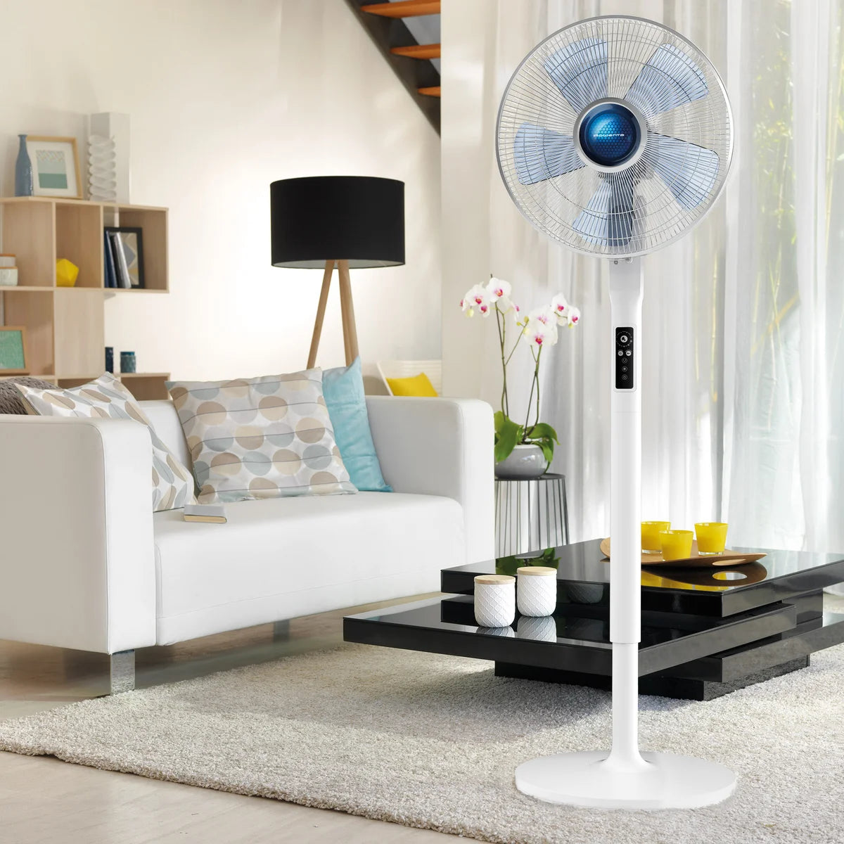Rowenta Turbo Silence Extreme and Stand Fan