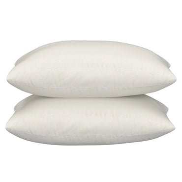 Sealy 2-Pack Organic Pillows