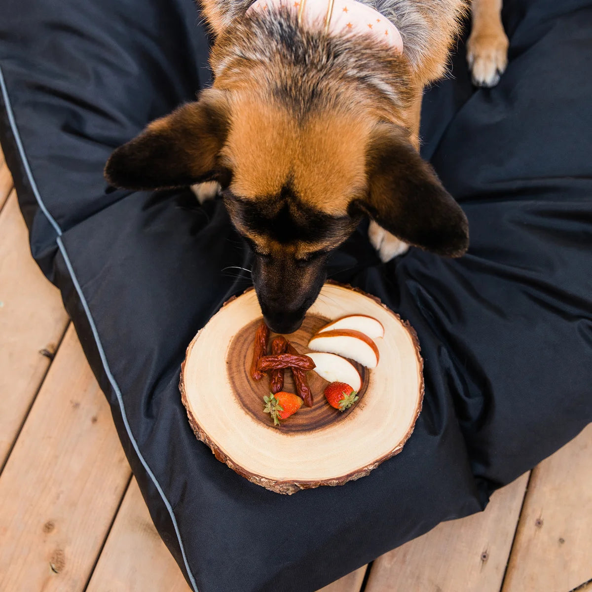 The Butcher's Companion – Friandises pour chien aux saucisses 10 x 250 g – Recette au porc