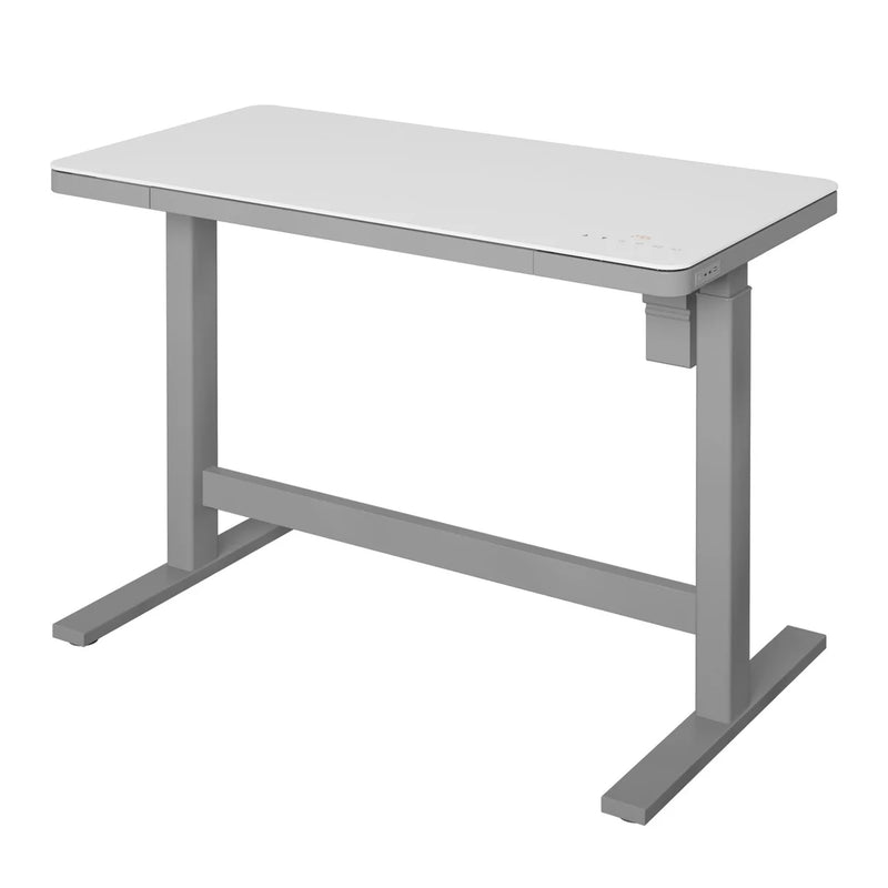Tresanti Geller Adjustable Height 120.14 cm x 65.02 cm (47.3 in. x 25.6 in.) Desk