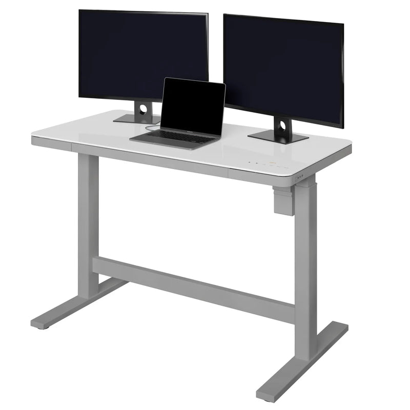 Tresanti Geller Adjustable Height 120.14 cm x 65.02 cm (47.3 in. x 25.6 in.) Desk