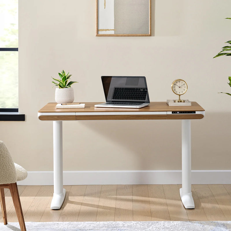 Nico Case 119.9 cm (47.2 in.) Height Adjustable Lift Desk