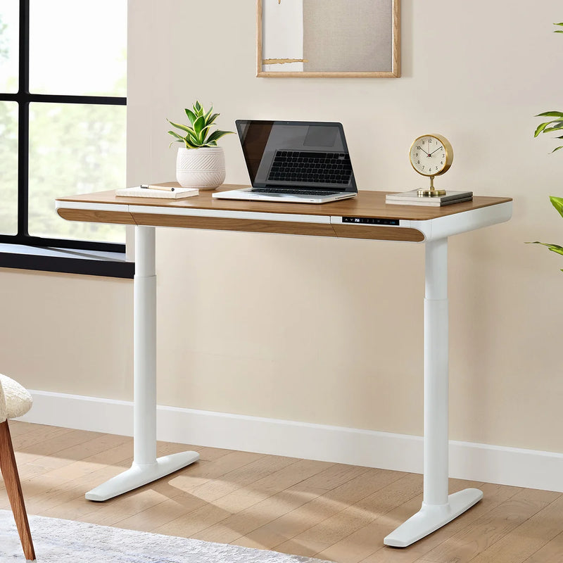 Nico Case 119.9 cm (47.2 in.) Height Adjustable Lift Desk