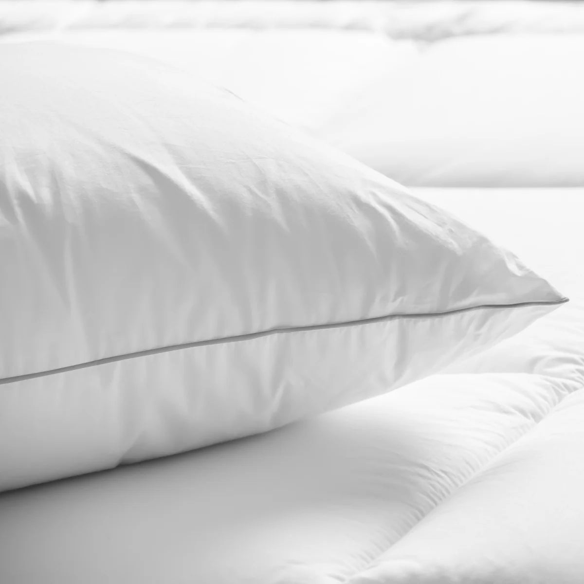 Lot de 2 oreillers Cotton House