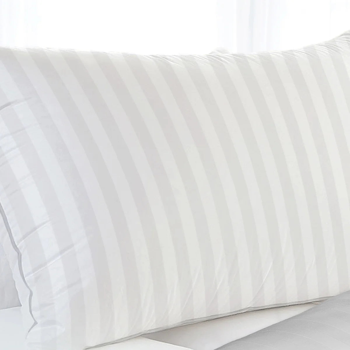 Martha Stewart 2-Pack Pillows