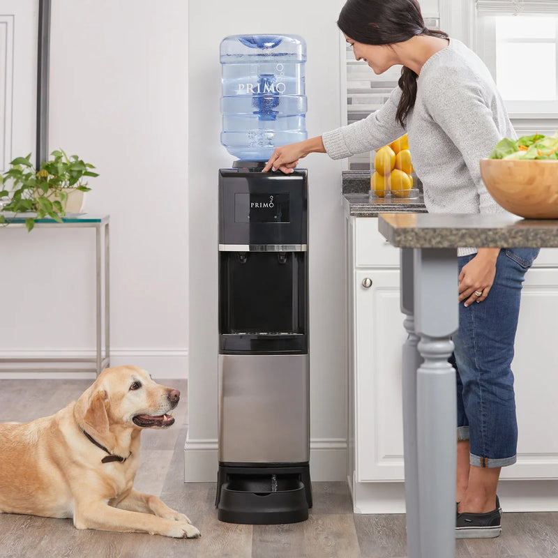 Primo Hot & Cold Top-loading Water Cooler and Pet Station